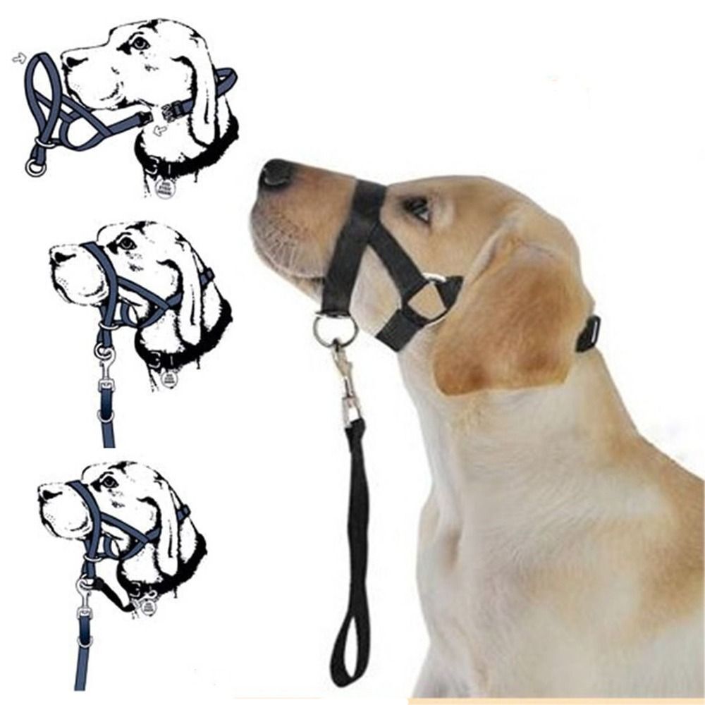 No Pull Dog Harness - Nylon Training Leash Non Pull Dog