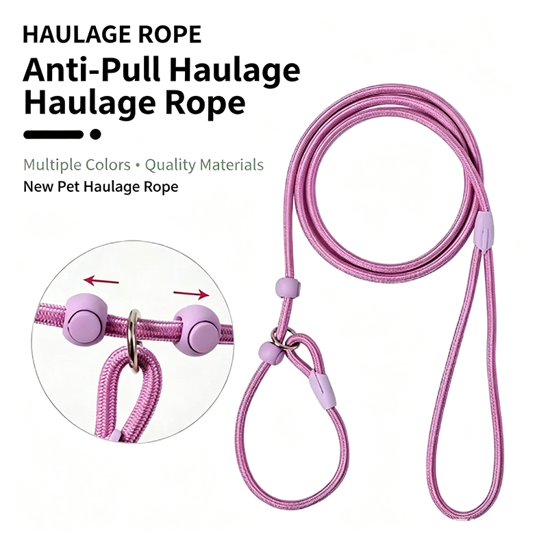 No Pull Dog Harness - 160Cm Lightweight Nylon P Leash Anti