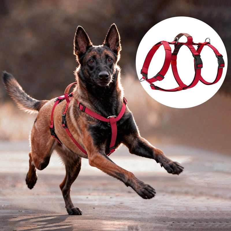 Escape-Proof Nylon Dog Harness - No Pull Dog Harness review and price
