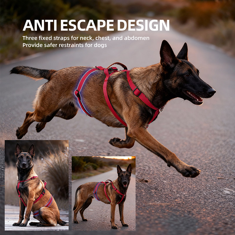 Escape-Proof Nylon Dog Harness - No Pull Dog Harness review and price