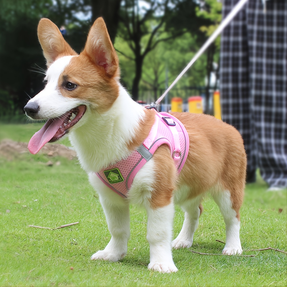 Reflective Pet Harness And Lea - No Pull Dog Harness review and price
