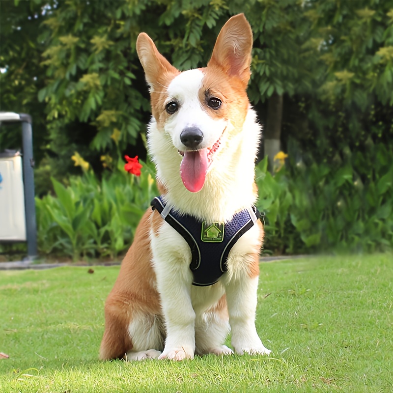 Reflective Pet Harness And Lea - No Pull Dog Harness review and price