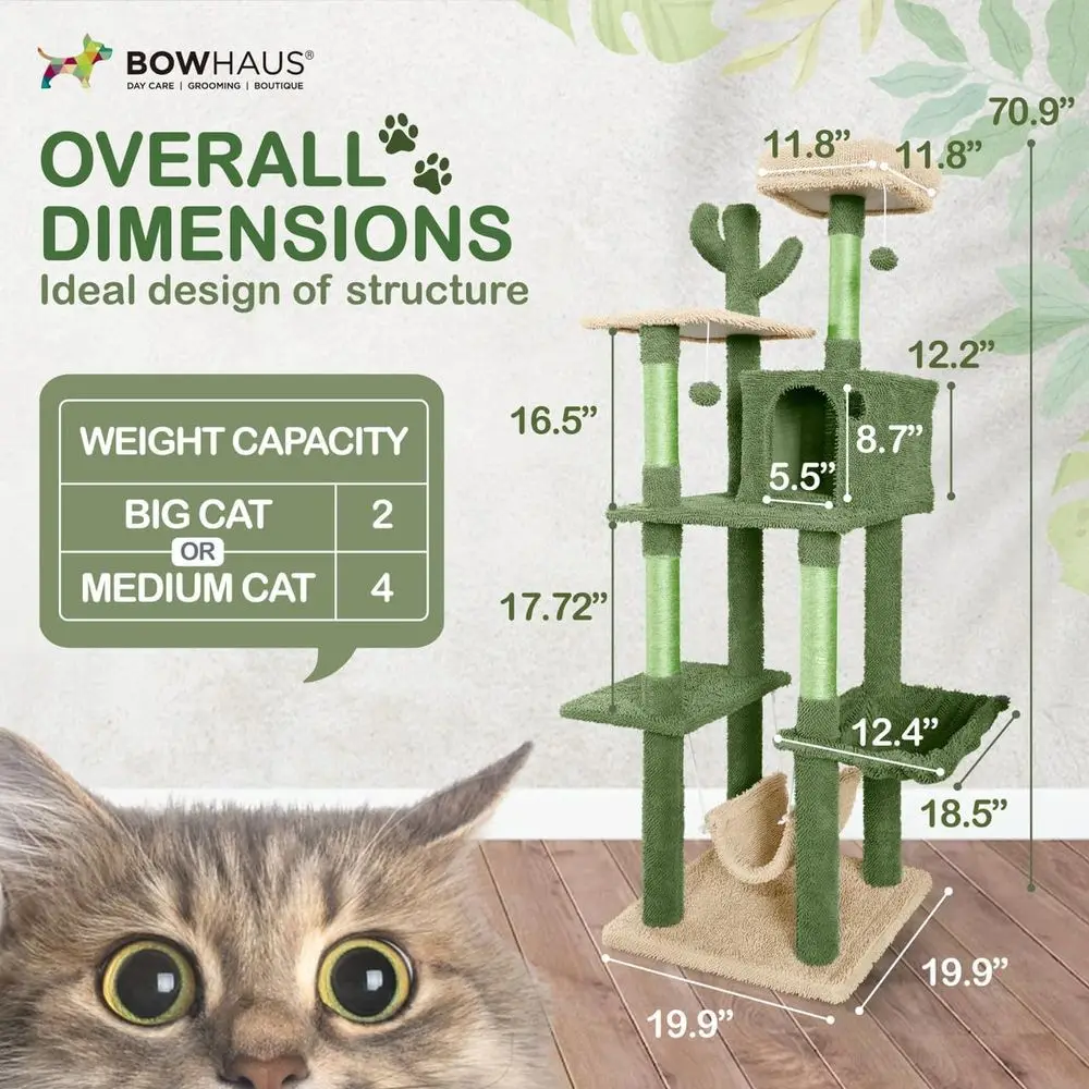 Multi-Level 70-Inch Cactus-The - Cat Scratching Post review and price