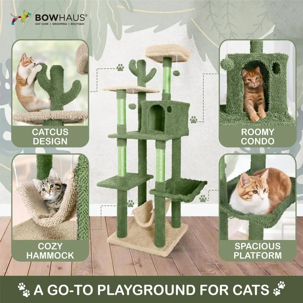 Multi-Level 70-Inch Cactus-The - Cat Scratching Post review and price
