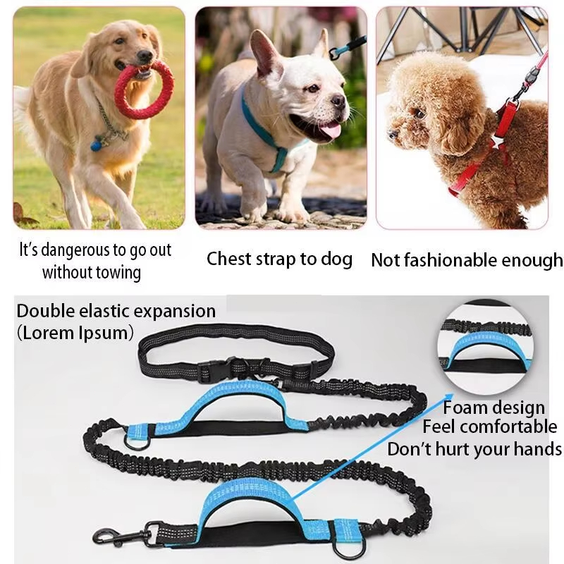 Double Elastic Reflective Runn - Pet Supplies Nz review and price