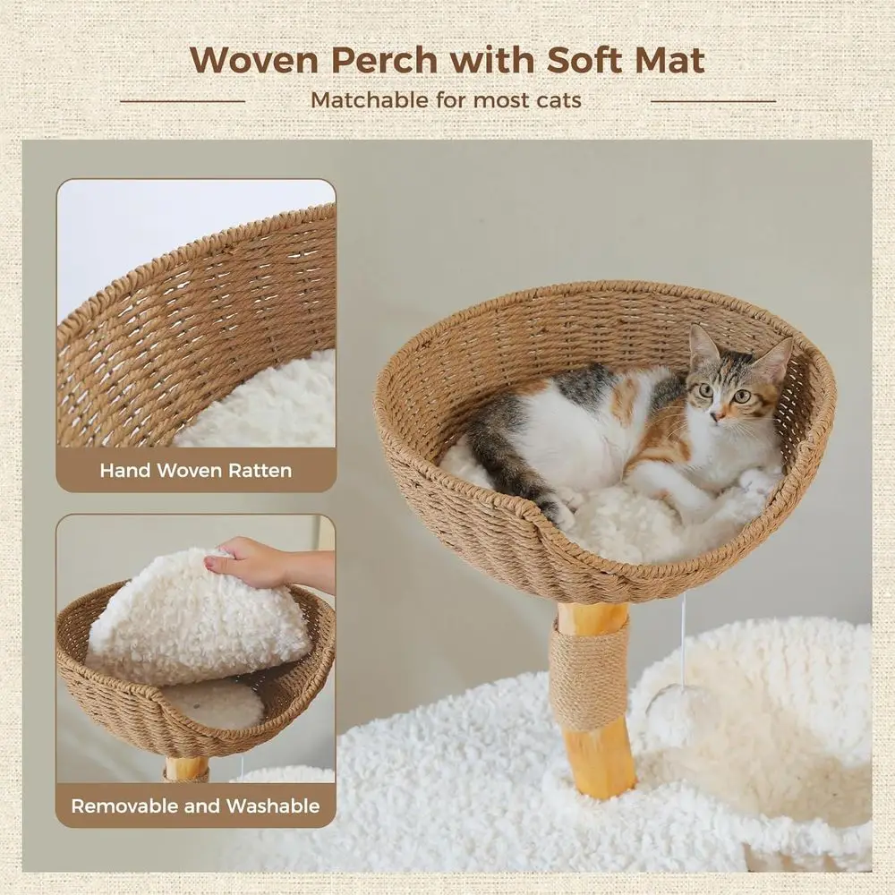 48.5 Large Solid Wood Cat Towe - Cat Scratching Post review and price