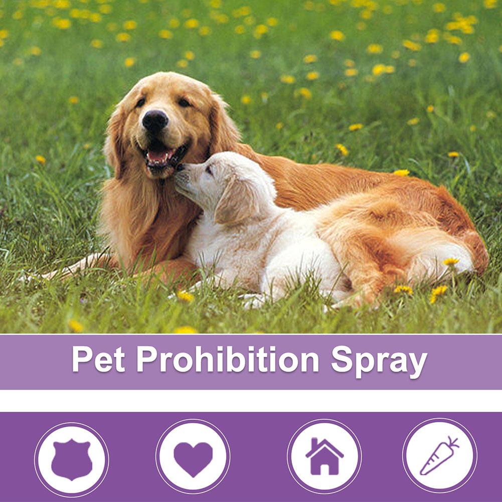 Pet Calming Spray Pet Supplies - Pet Supplies Nz review and price