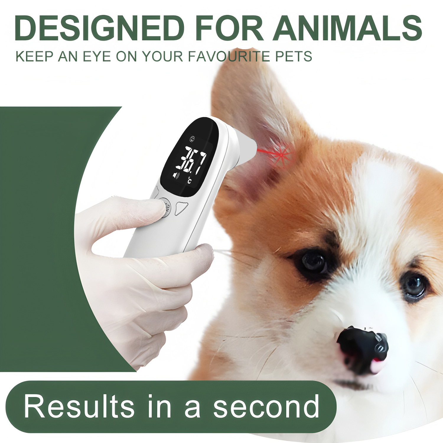 Pet Ear Digital Thermometer No - Pet Supplies Nz review and price
