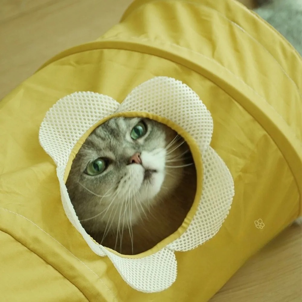 Portable Foldable Spiral Tunne - Pet Supplies In Store review and price