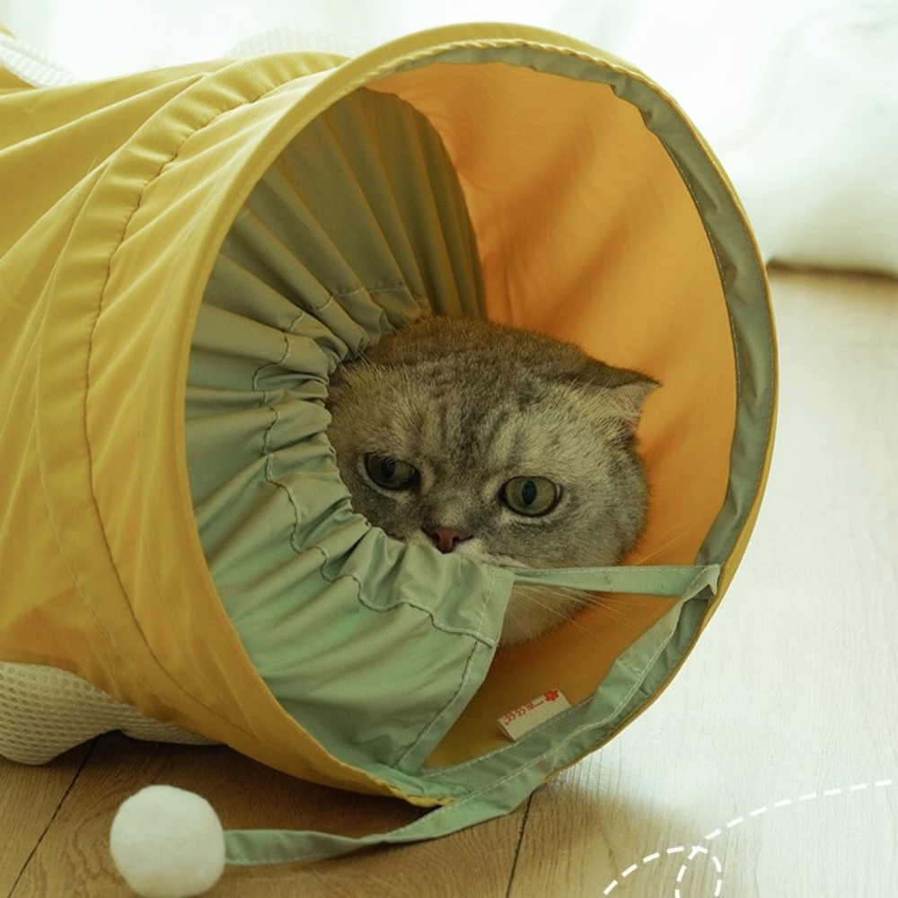 Portable Foldable Spiral Tunne - Pet Supplies In Store review and price