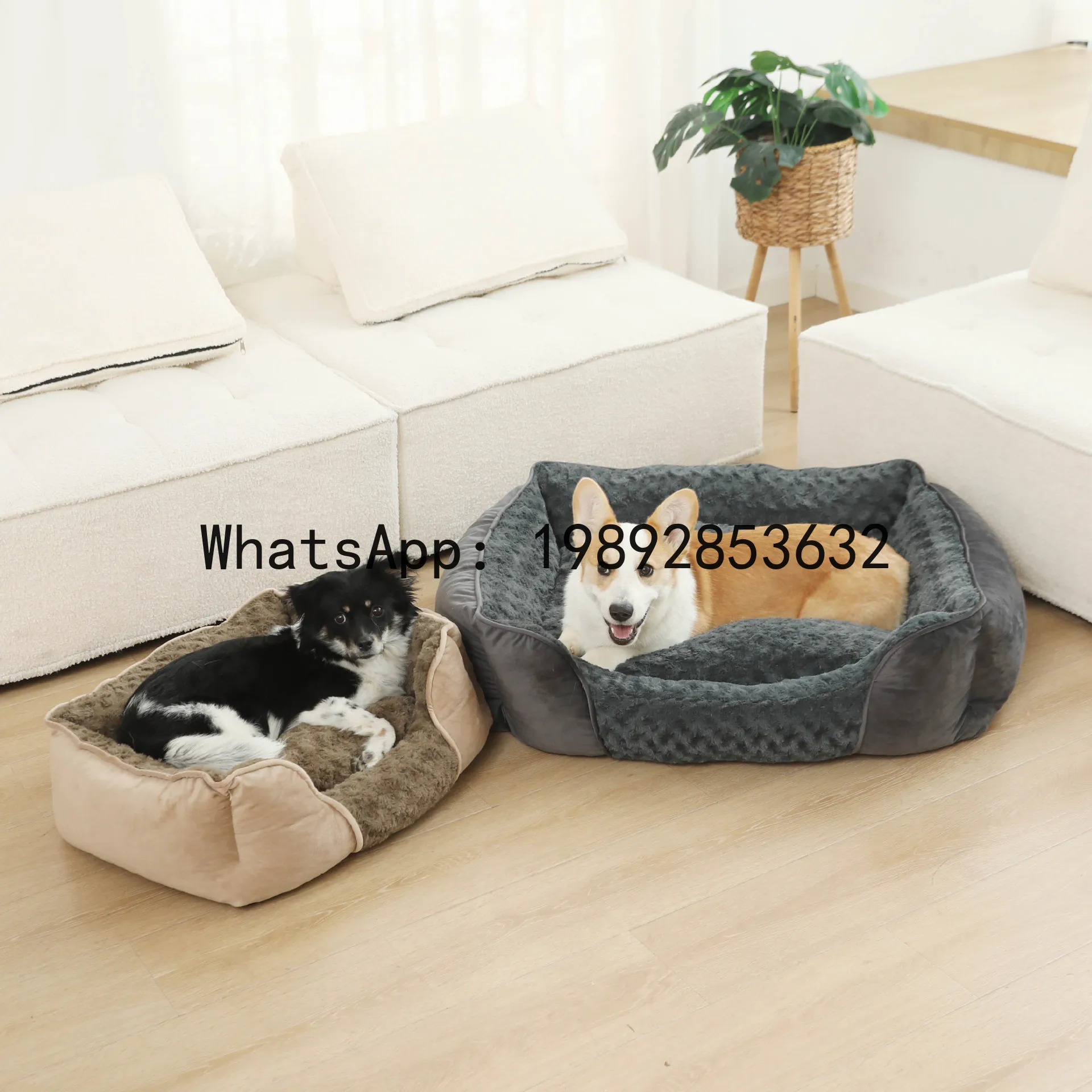 X cat house semi-enclosed dog  - Pet X Supplies & Tack Howell review and price