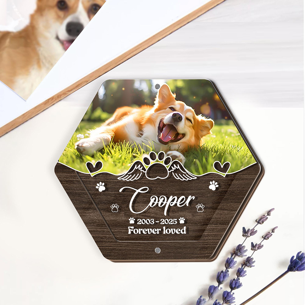 Personalized Name Wooden Carvi - Pet Supplies Nz review and price