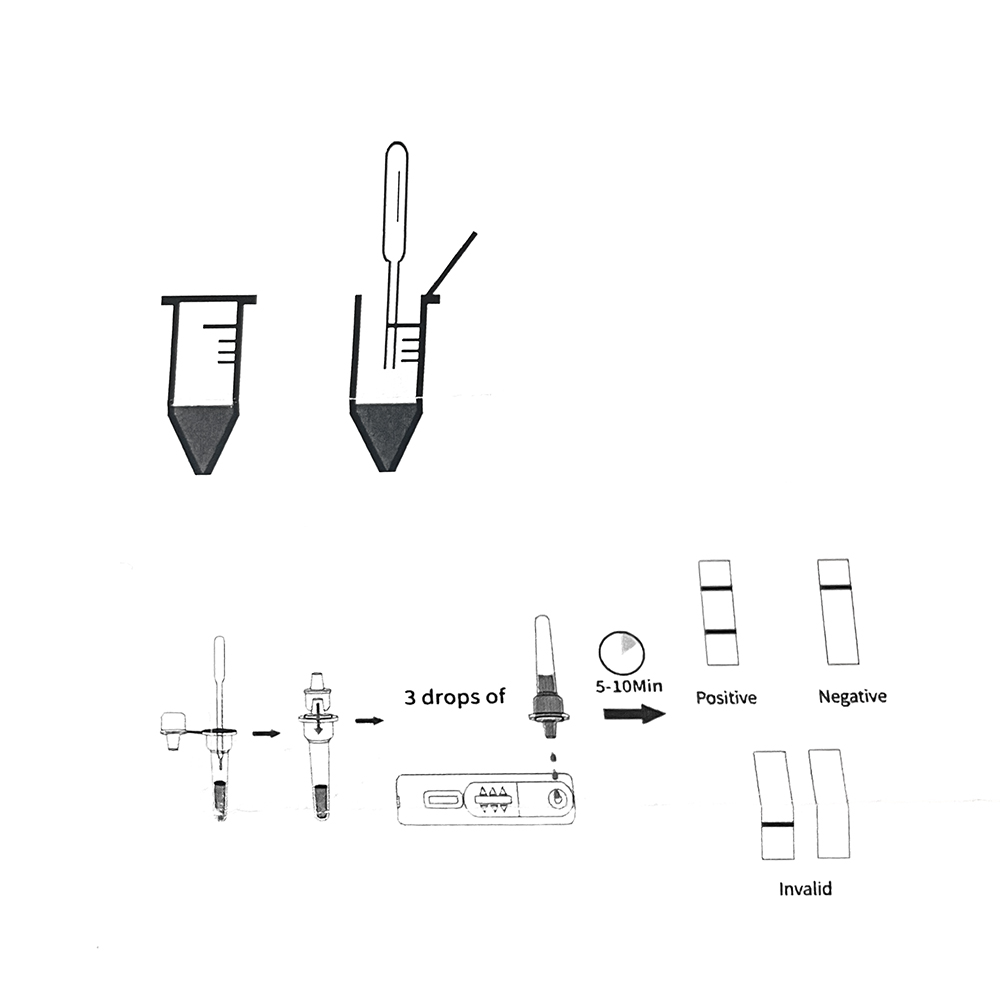 1set/5set Professional Pet Dog - Pet Supplies Nz review and price