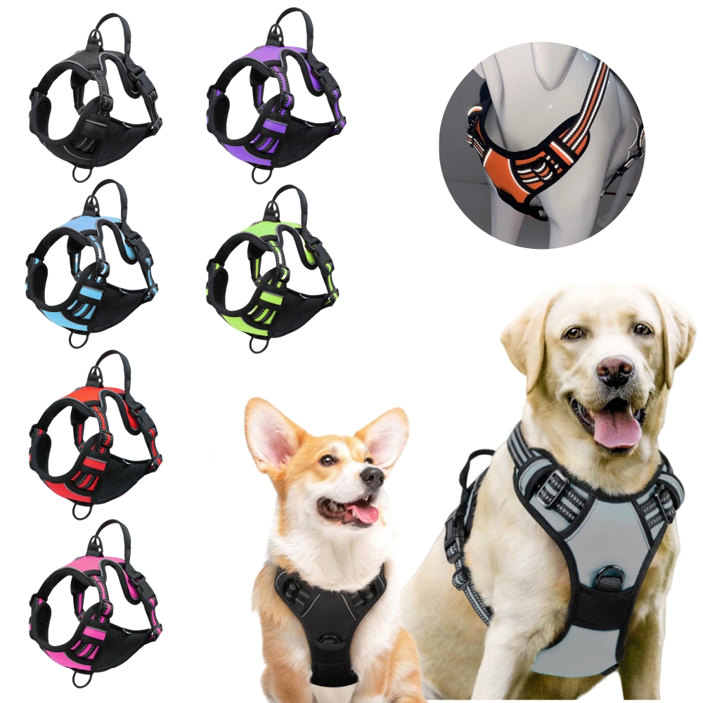 No Pull Dog Harness Large Dog  - No Pull Dog Harness review and price