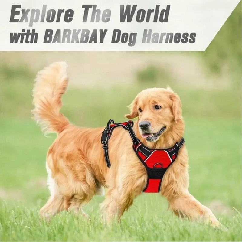 No Pull Dog Harness Large Dog  - No Pull Dog Harness review and price