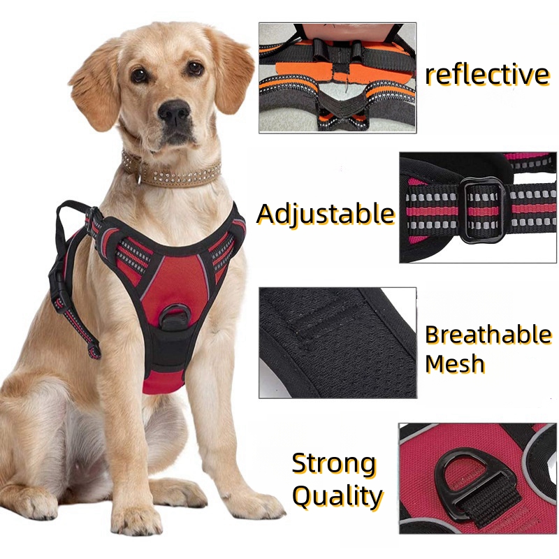 No Pull Dog Harness Large Dog  - No Pull Dog Harness review and price