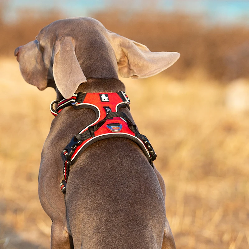 Truelove Pet Reflective Nylon  - No Pull Dog Harness review and price