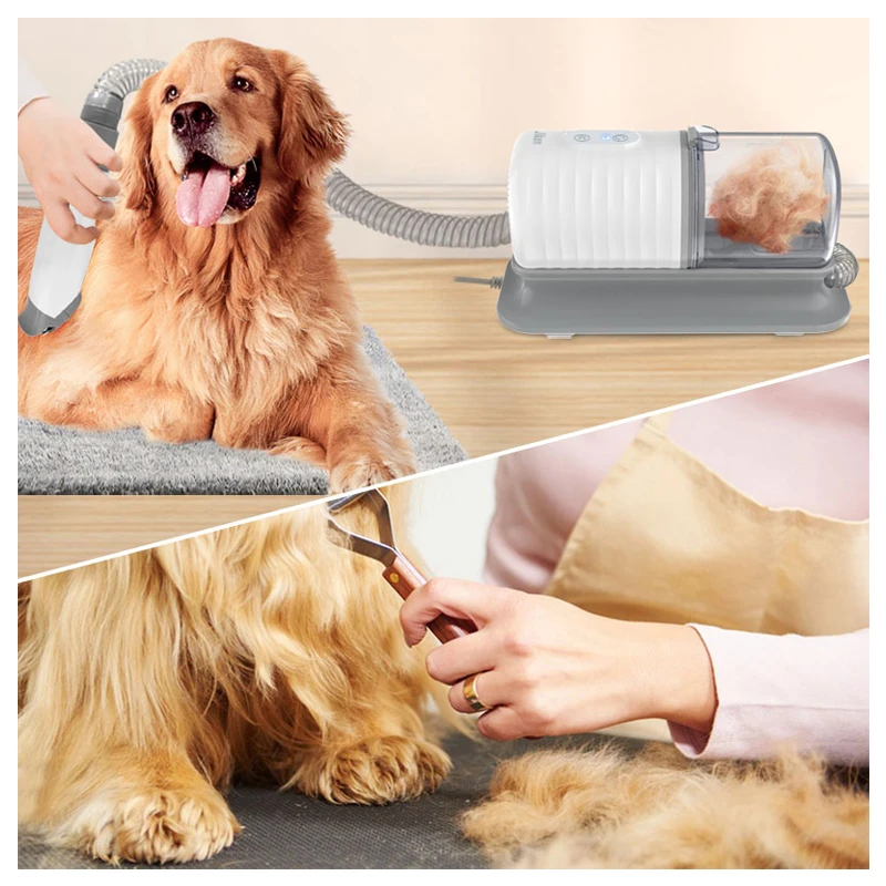 Dog bath brush set, pet bath g - Pet Supplies In Store review and price