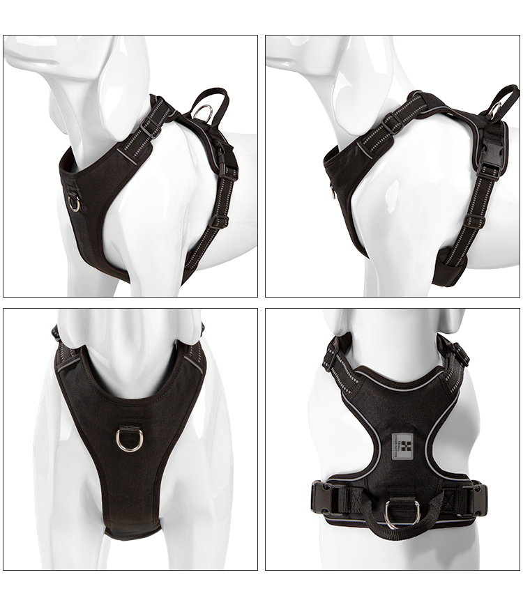 SMALL COMBINATION Dog Harness  - No Pull Dog Harness review and price