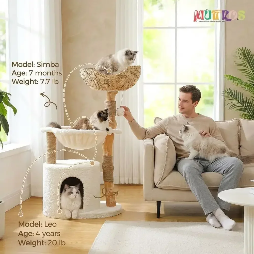 Large Cozy Cat Tree with Real  - Cat Scratching Post review and price