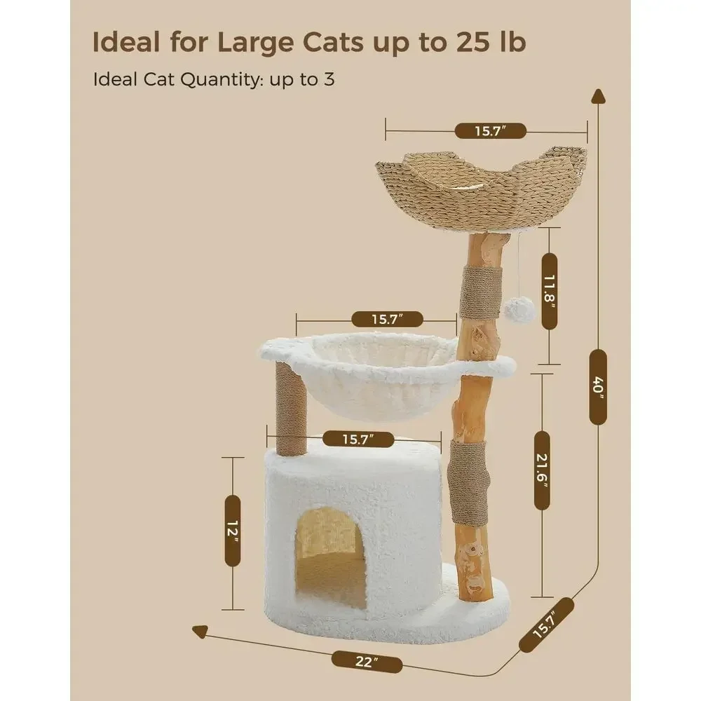 Large Cozy Cat Tree with Real  - Cat Scratching Post review and price