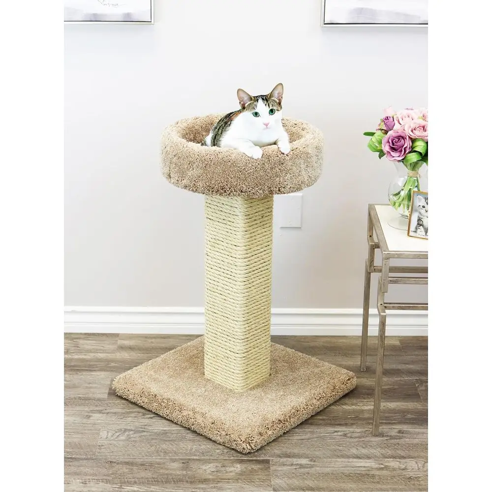Large Solid Wood Cat Scratchin - Cat Scratching Post review and price