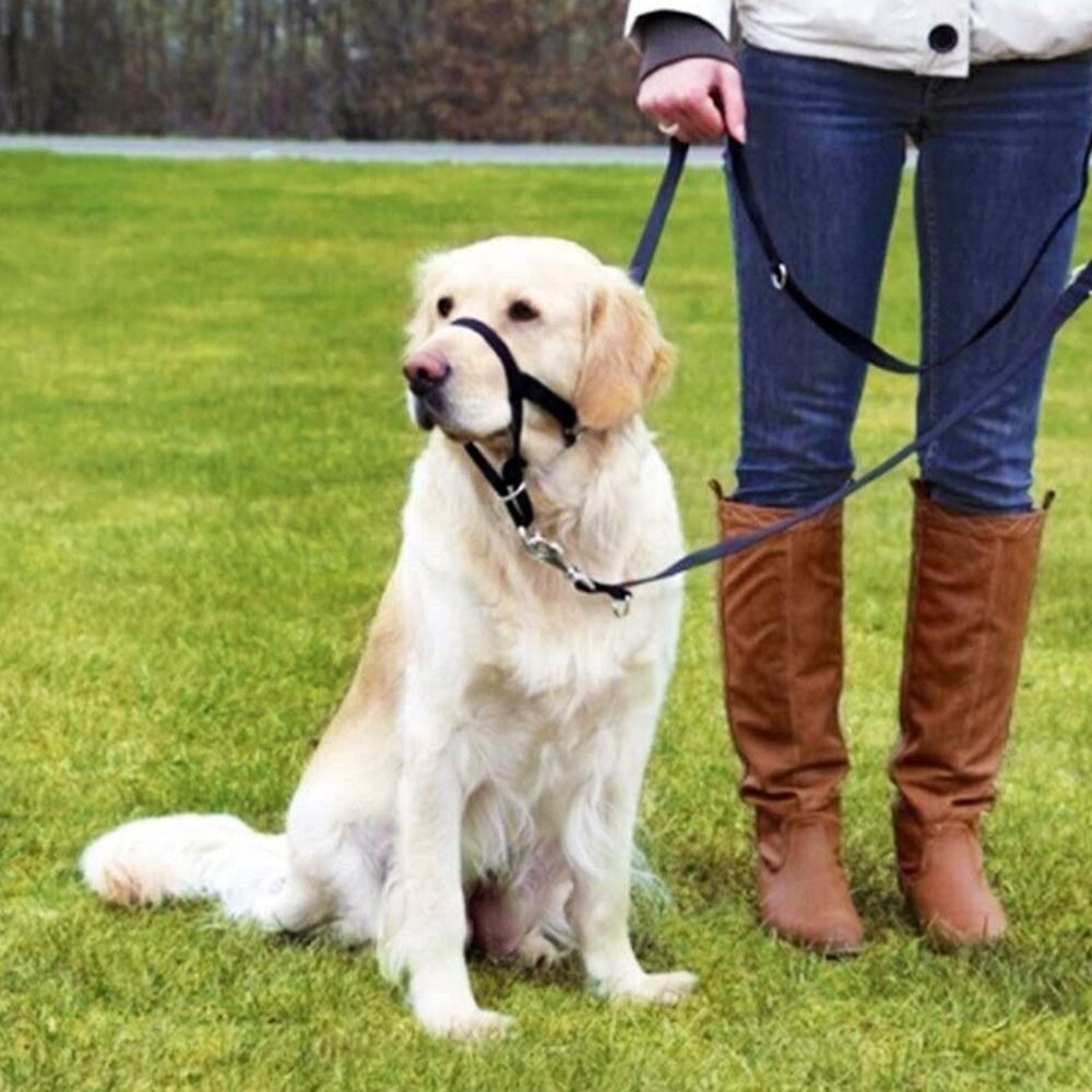 Adjustable Anti barking Non Pu - No Pull Dog Harness review and price
