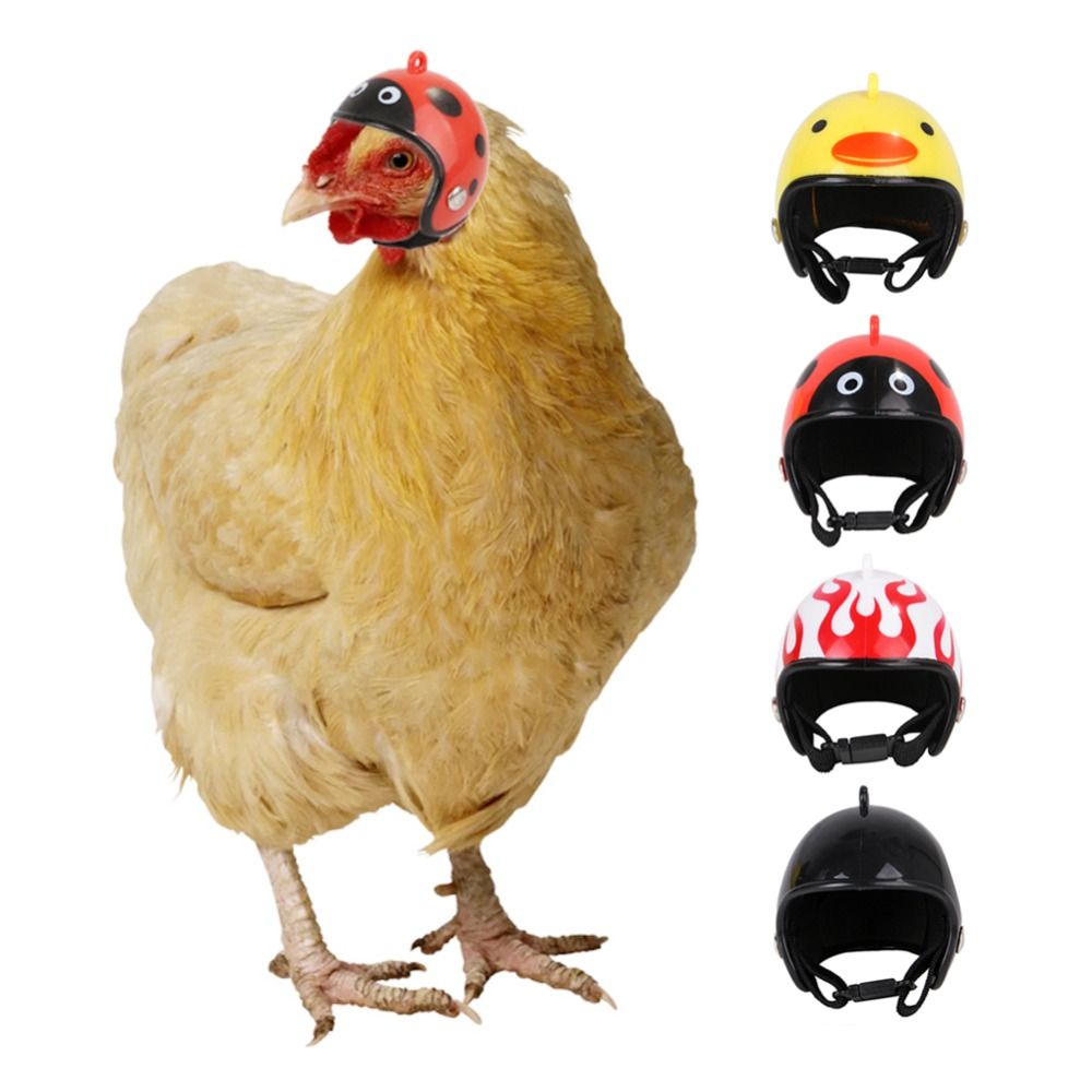 ABS Pet Supplies Funny Pet Pro - Pet X Supplies & Tack Howell review and price