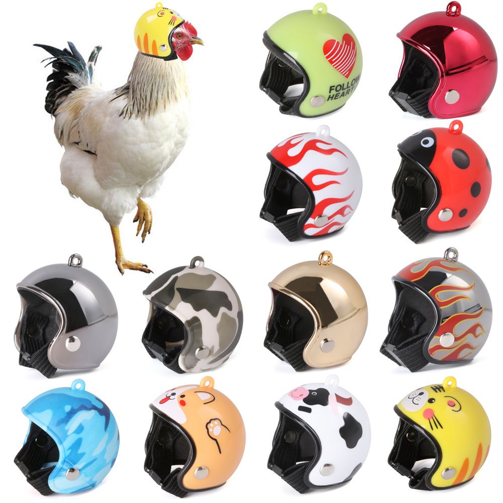 ABS Pet Supplies Funny Pet Pro - Pet X Supplies & Tack Howell review and price