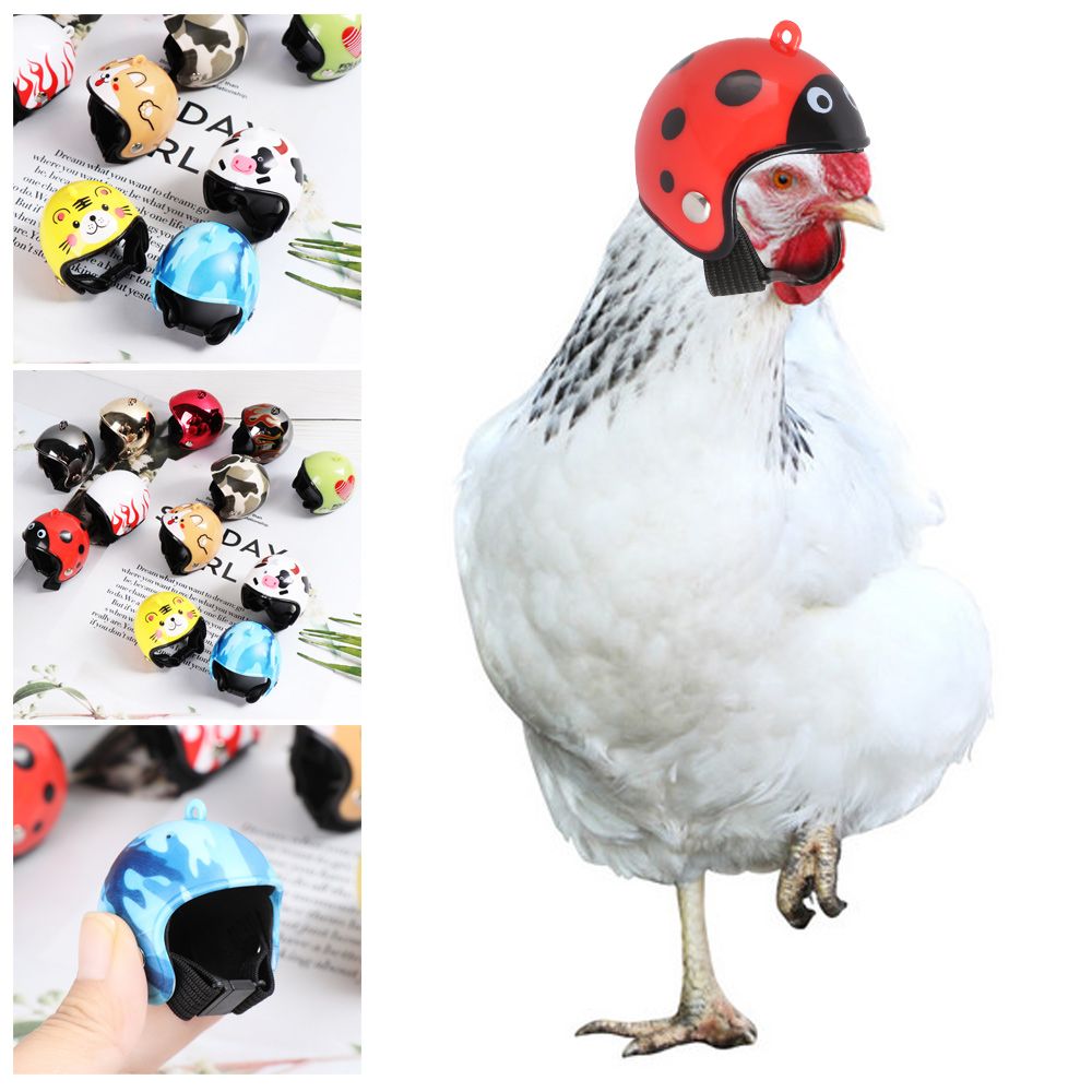 ABS Funny Pet Supplies Pet Pro - Pet X Supplies & Tack Howell review and price