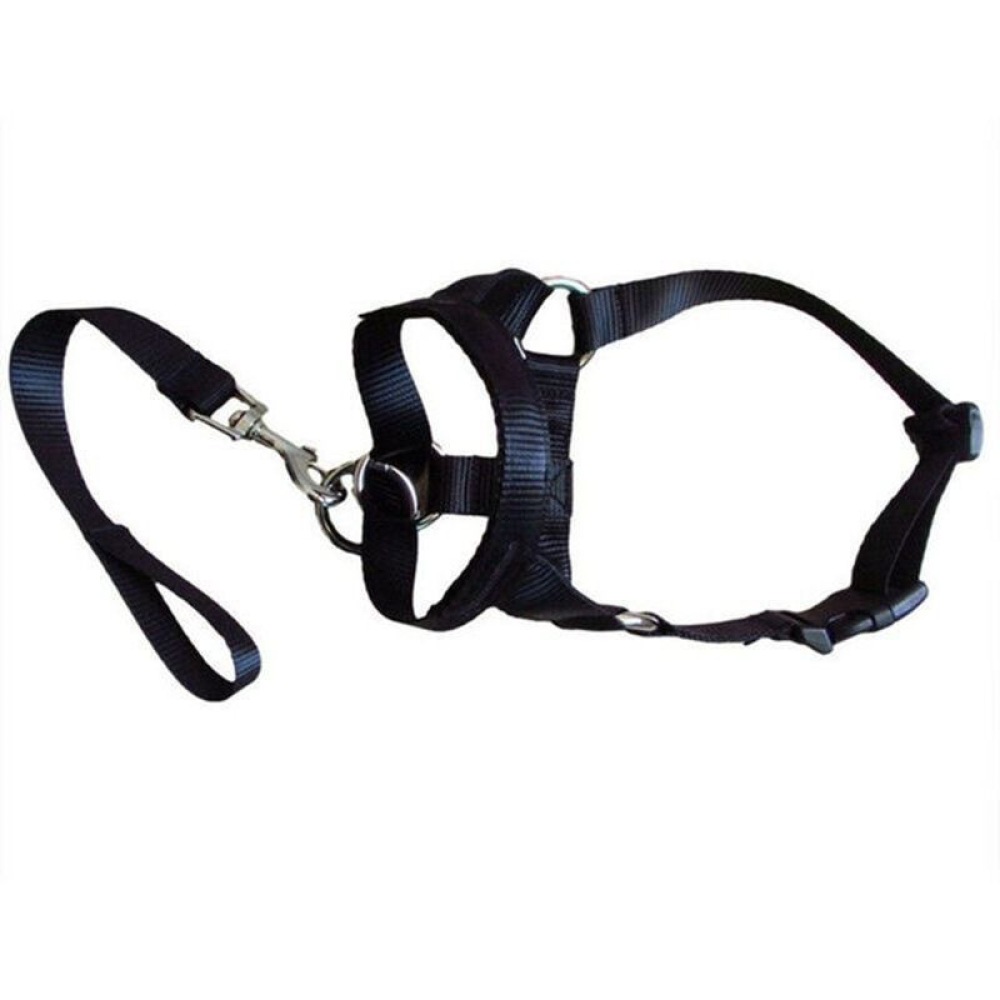 Breathable Dog Head Collar Sho - No Pull Dog Harness review and price