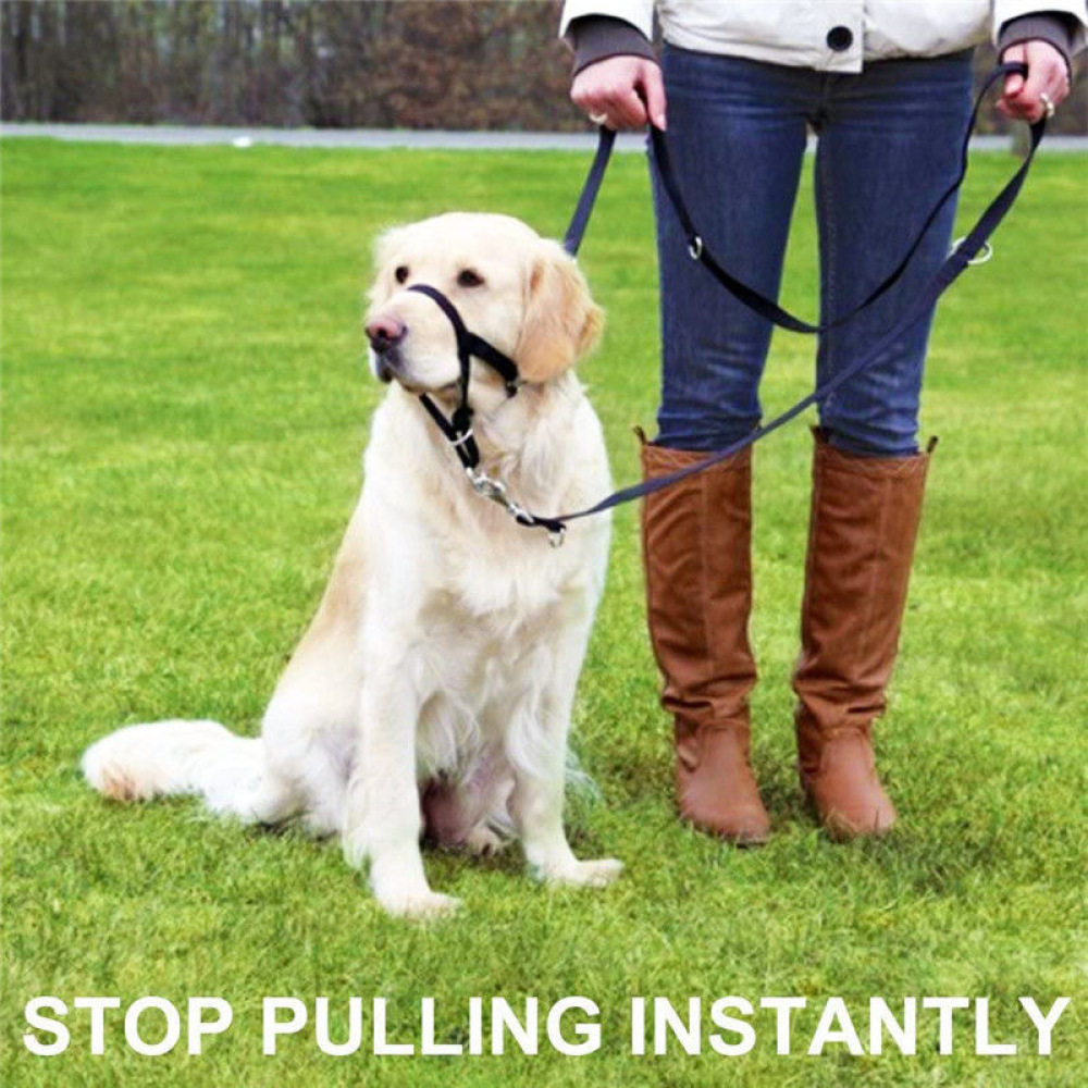 Breathable Dog Head Collar Sho - No Pull Dog Harness review and price