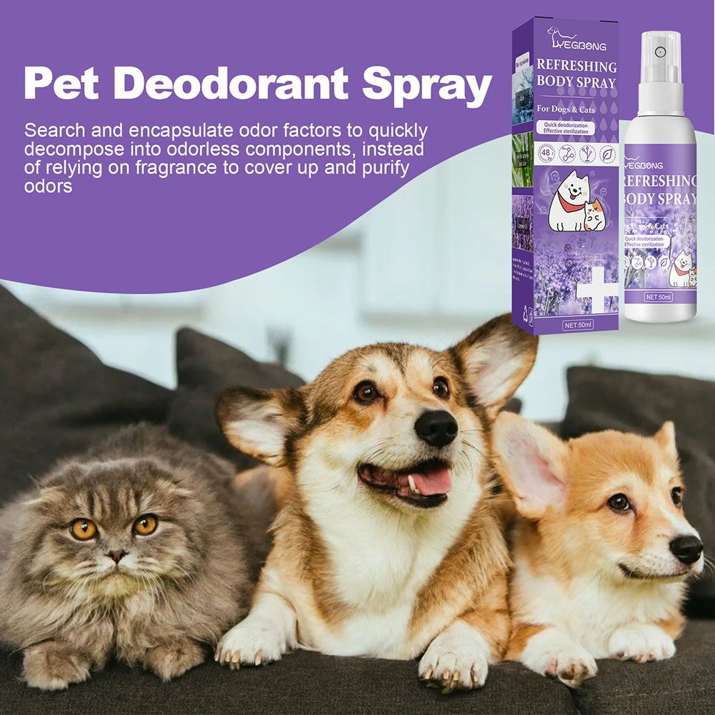 Dog Deodorizer Spray Feces Cle - Pet Supplies In Store review and price