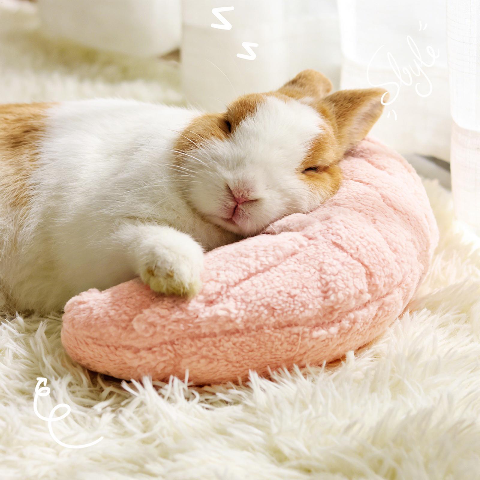 Pet Little Pillow Fashion Neck - Pet Supplies Nz review and price